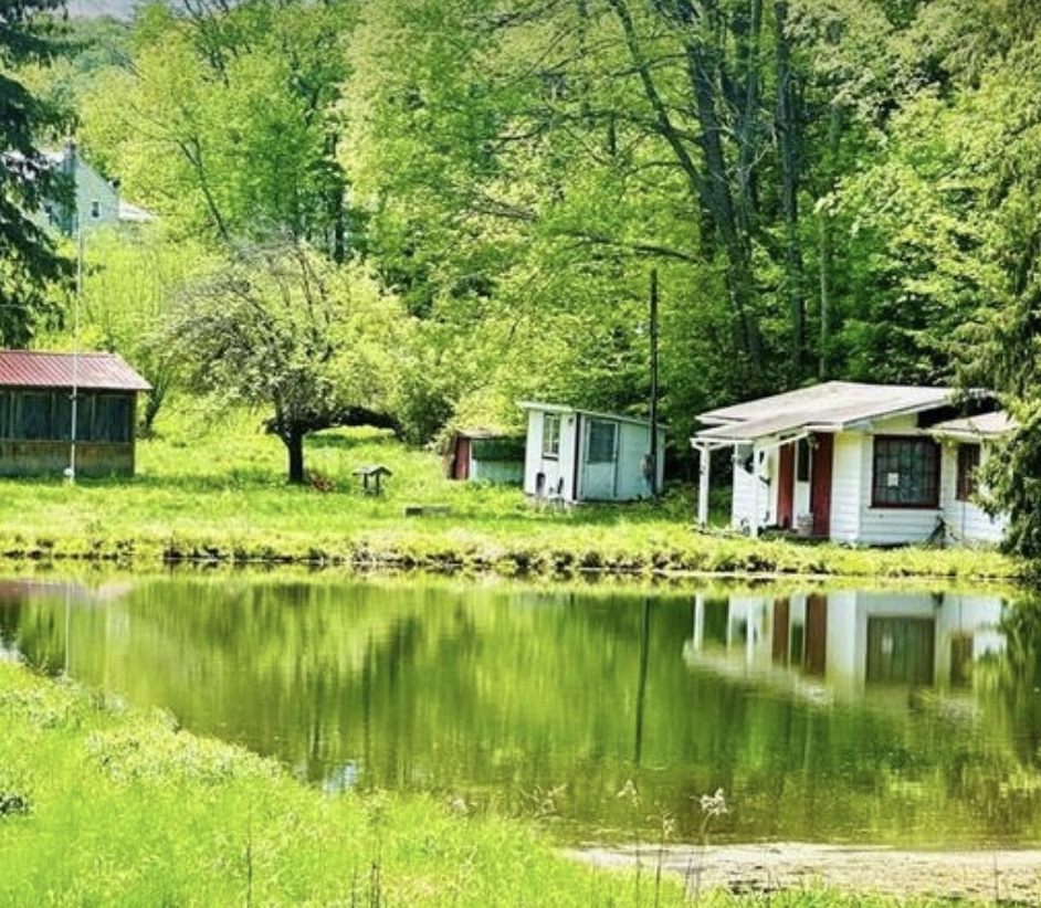 Rural Western New York property with outbuildings beside a pond